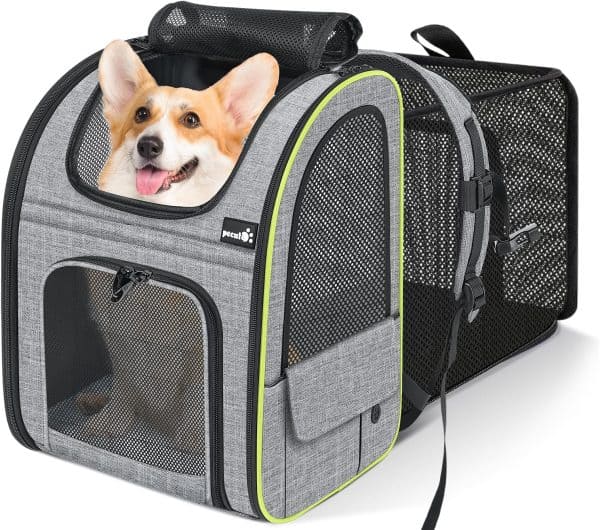 Pecute transportin gato mochila expandible gris XL reseña